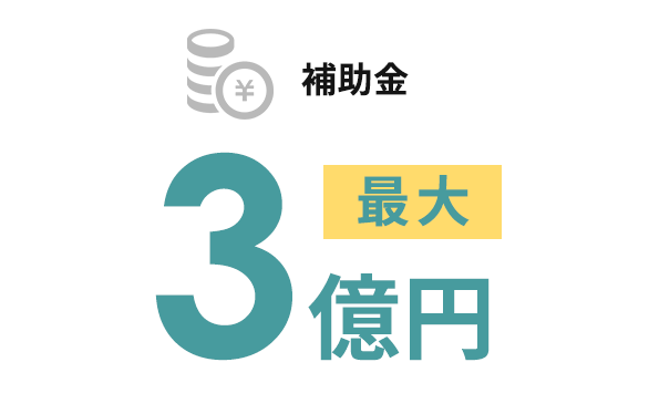補助金 最大3億円